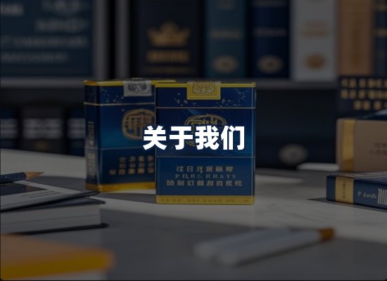 关于我们